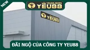 Đãi ngộ của công ty Yeu88