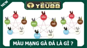 Màu mạng gà đá là gì